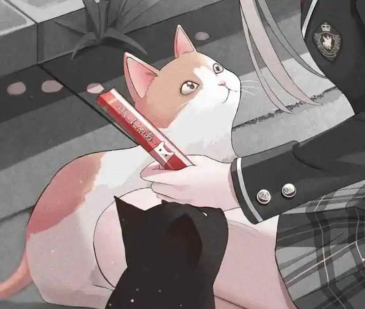 [西檬之家] Sub是什么？在字母圈中的臣服者角色指南