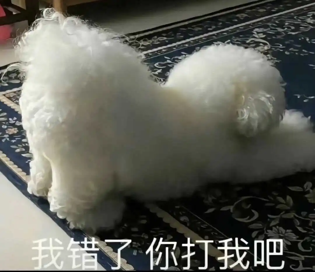 【西檬之家】字母圈新人指南：S倾向与BDSM核心概念解析