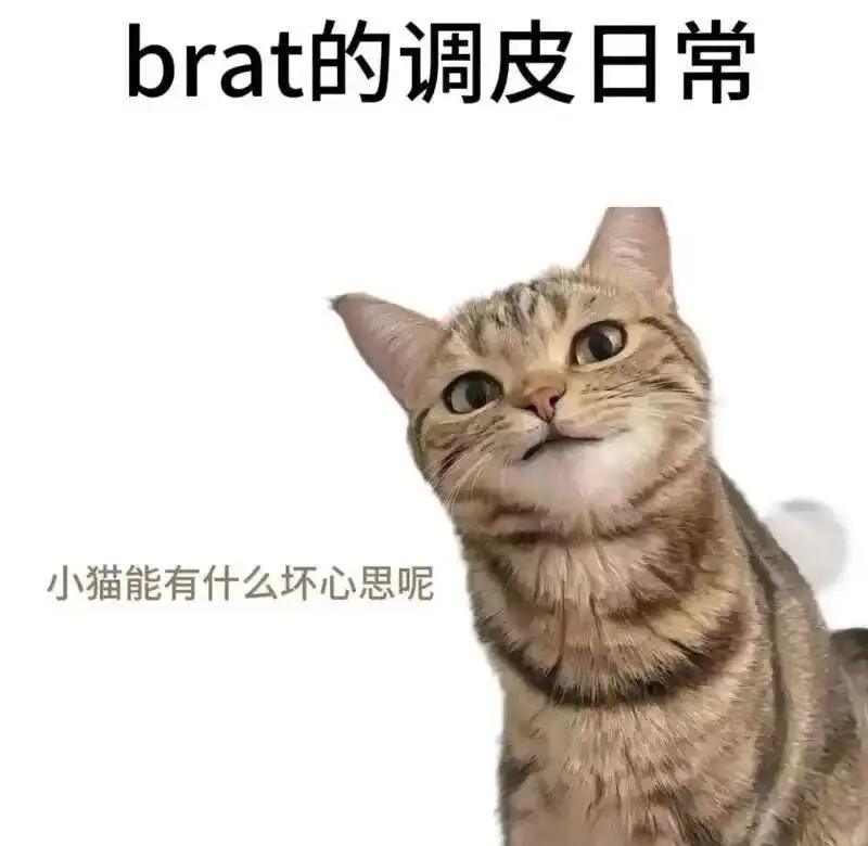 【西檬之家】字母圈-大圈是什么意思？