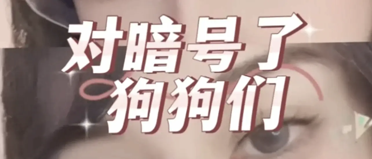 【西檬之家】字母圈新人入圈指南：从基础术语到安全原则