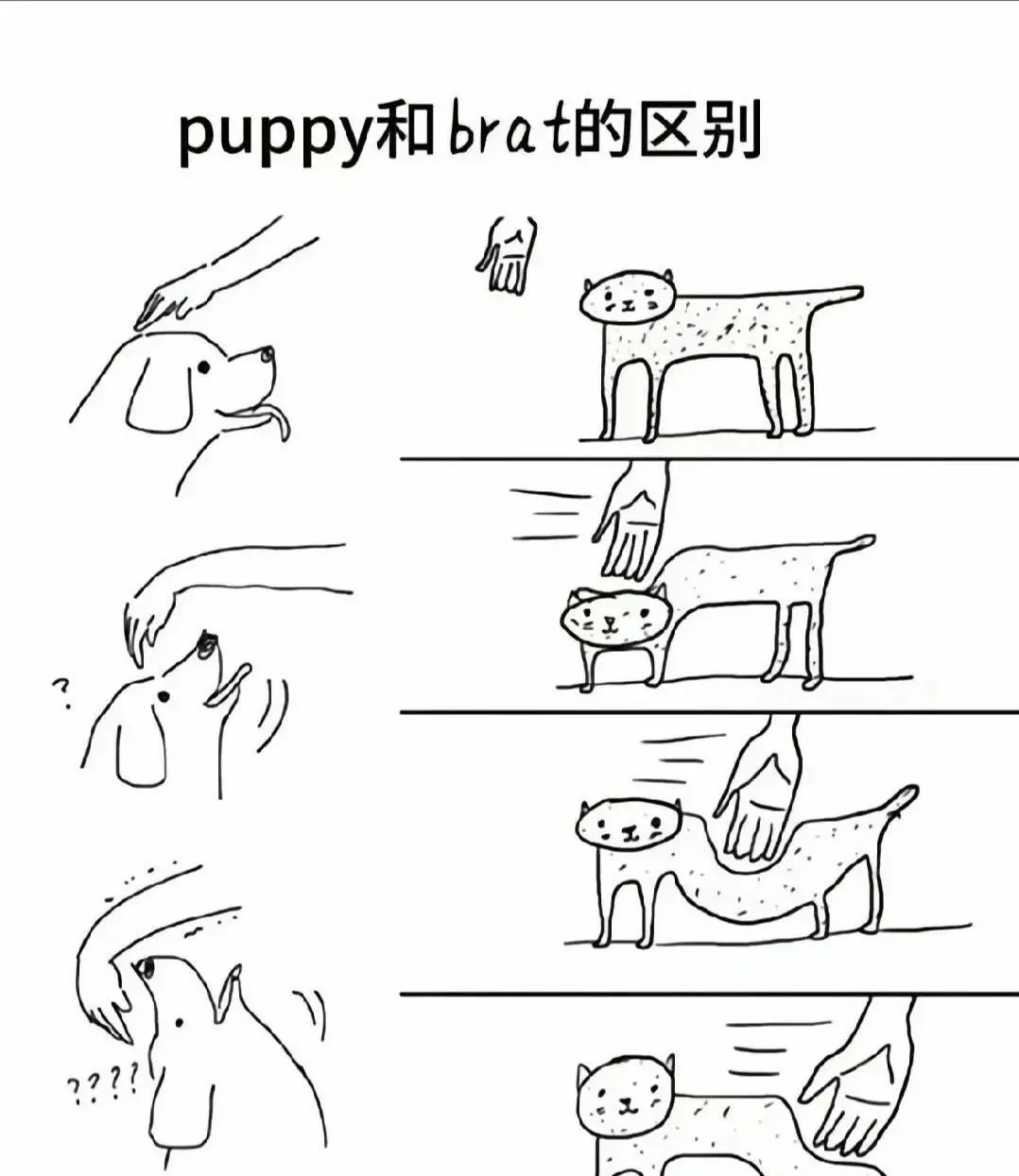 西檬之家-ddlg是什么？你的字母圈属性是什么？