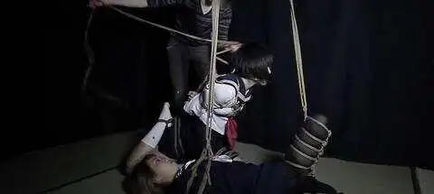 【西檬之家】Sub是什么意思？BDSM字母圈核心概念全解析