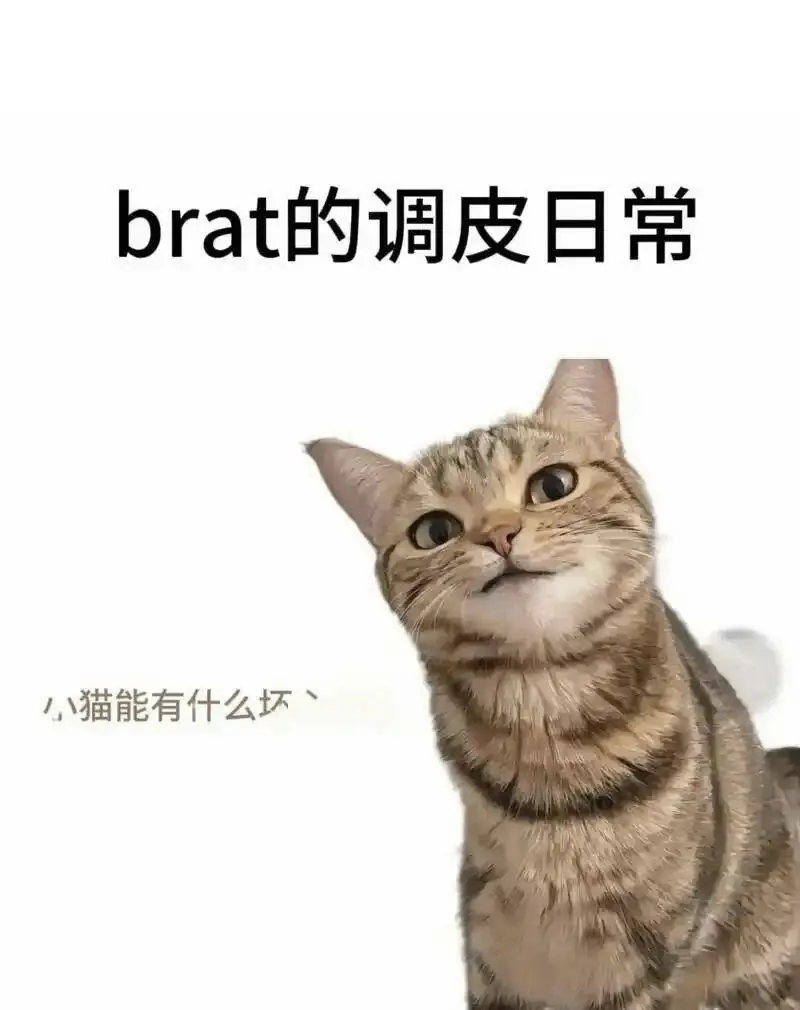 西檬之家-字母圈新人入圈指南：从术语解析到心理建设